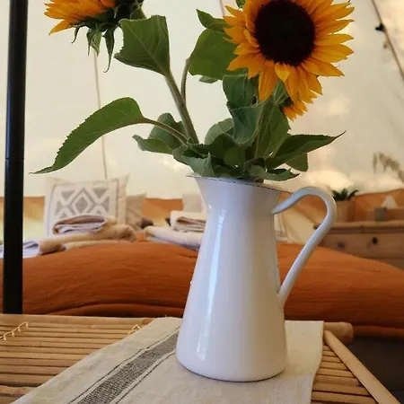 Luxury tent Bohofyn Nyborg